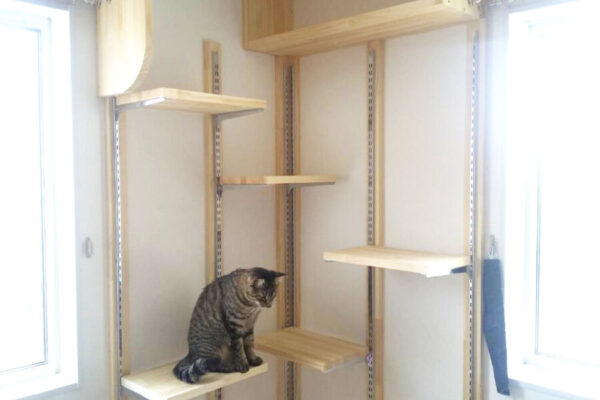 塩竈市　戸建　K様邸